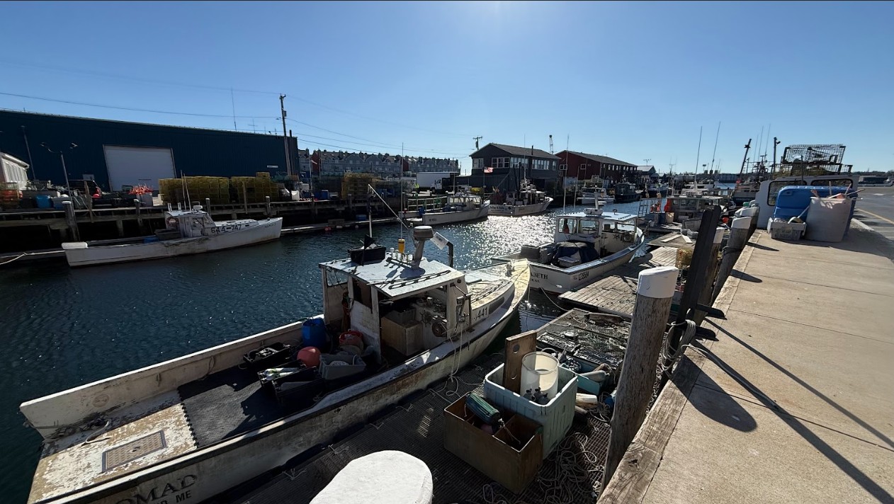 Why Maine is Synonymous with Lobster