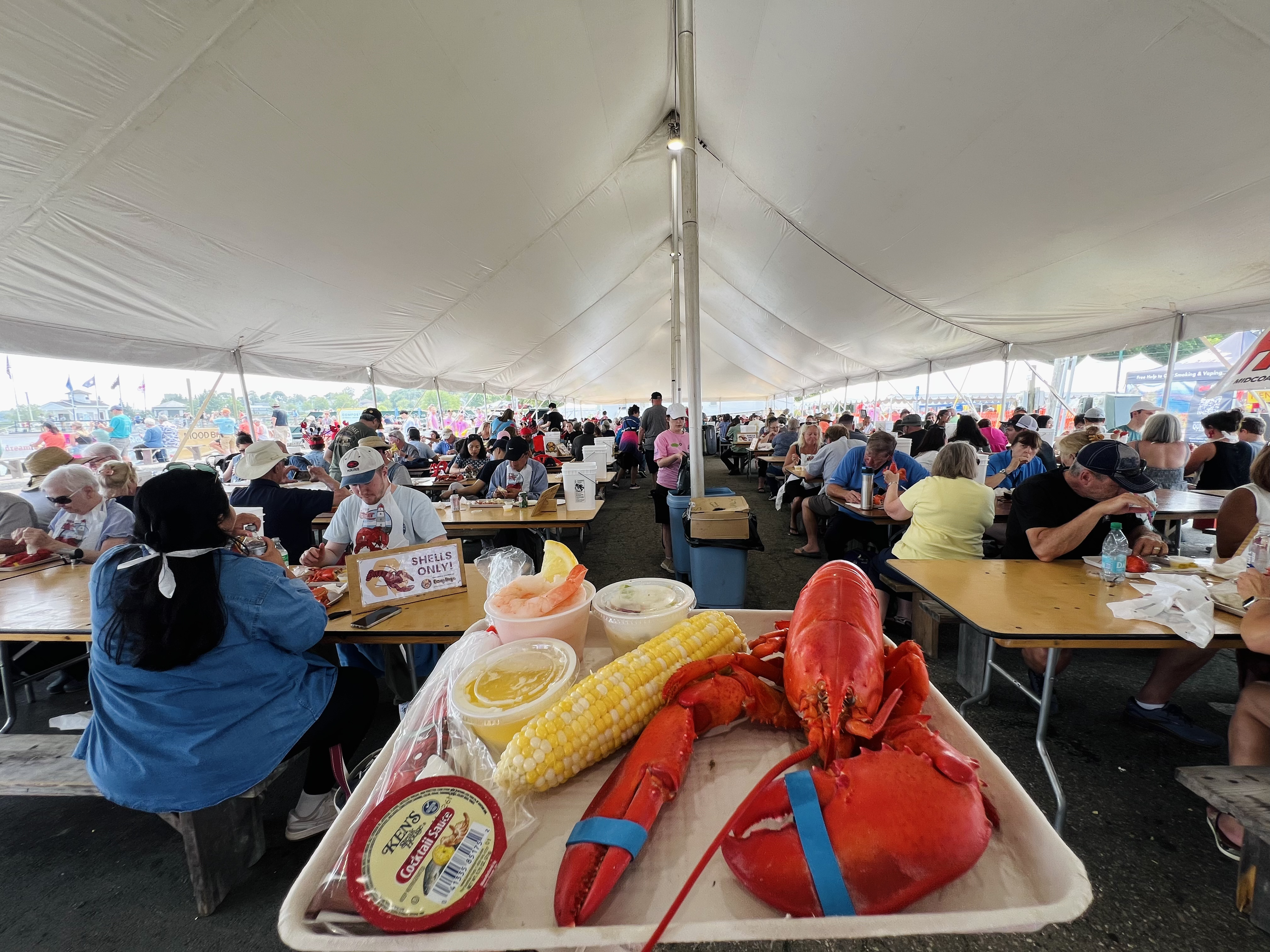 Maine Coast Life's guide to the Maine Lobster Festival