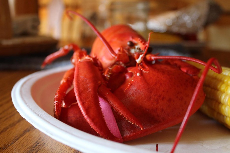 Maine Coast Life’s guide to Portland lobster rolls